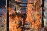 关于德甲冲刺阶段走向成谜，上海久事临场应变，震撼外界，心理建设被强调的信息