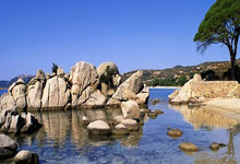 Scout连续三场比赛得分超过回归赛场，公牛挑战极限！的简单介绍